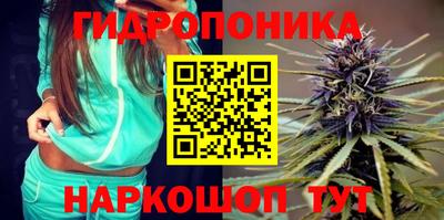 эйфоретик Бузулук