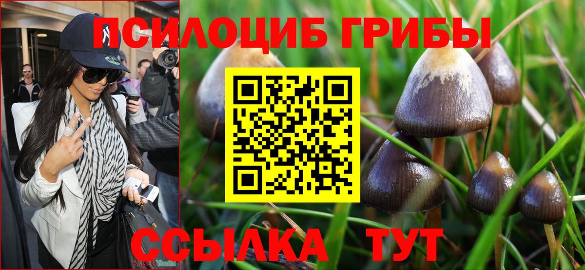 Псилоцибиновые грибы Cubensis  Псилоцибиновые грибы Psilocybe  Казань  продажа наркотиков  Вход с VPN 