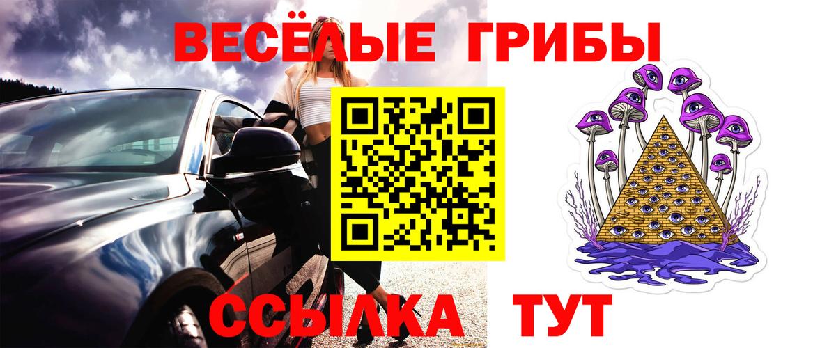 Галлюциногенные грибы прущие грибы Казань